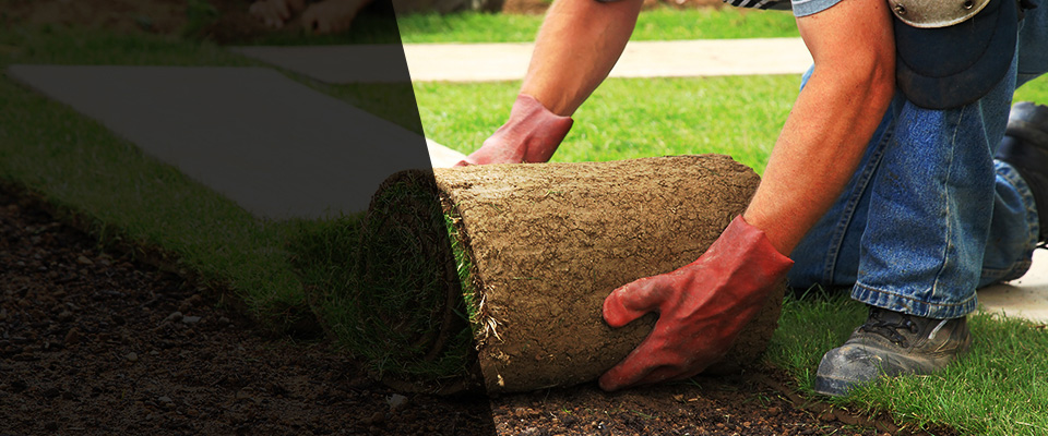 Santaquin Landscapers